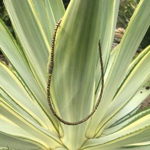 Gold beaded anklet🍋
